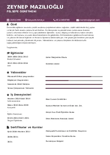 Felsefe Öğretmeni CV Örnekleri cv indir